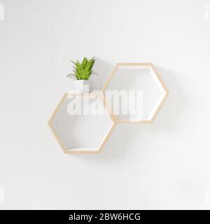 Ripiano esagonale con spazio per la copia dell'albero, spazio per la copia, mock up, esegon Foto Stock