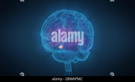 illustrazione 3d cervello umano con convoluzioni e una radianza di luce Foto Stock