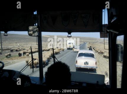 Traffico stradale e pecore vicino Taskent in Uzbekistan nella foto 1983 dall'interno di un autobus Foto Stock