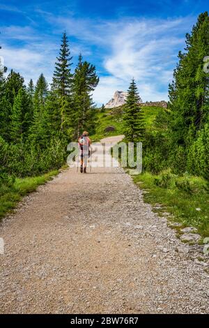 Italia Veneto Dolomiti Ampezzane - strada che conduce al sentiero Astaldi Foto Stock