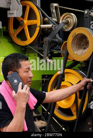 (200530) -- ZHOUKOU, 30 maggio 2020 (Xinhua) -- Qin Yinhong contatti su attività di raccolta in un campo di grano nel villaggio di Nanling, Zhoukou Città della provincia di Henan della Cina centrale, 29 maggio 2020. Qin Yinhong, 51 anni, un collezionista di grano della contea di Wuji, nella provincia di Hebei, in Cina settentrionale, sta svolgendo il lavoro da oltre 20 anni. Ogni anno, guida la sua macchina per la raccolta del grano nelle province di Henan e Hebei della Cina centrale. Quest'anno, la vendemmia inizia il 20 maggio. Durante i suoi giorni lavorativi, Qin si sveglia alle cinque del mattino e lavora fino alle otto o alle nove della sera, raccogliendo circa Foto Stock