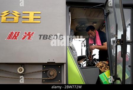 (200530) -- ZHOUKOU, 30 maggio 2020 (Xinhua) -- Qin Yinhong organizza le merci all'interno della cabina della sua mietitrice in un campo di grano nel villaggio di Nanling, città di Zhoukou della provincia di Henan della Cina centrale, 29 maggio 2020. Qin Yinhong, 51 anni, un collezionista di grano della contea di Wuji, nella provincia di Hebei, in Cina settentrionale, sta svolgendo il lavoro da oltre 20 anni. Ogni anno, guida la sua macchina per la raccolta del grano nelle province di Henan e Hebei della Cina centrale. Quest'anno, la vendemmia inizia il 20 maggio. Durante i suoi giorni lavorativi, Qin si sveglia alle cinque del mattino e lavora fino alle otto o alle nove della sera, Foto Stock