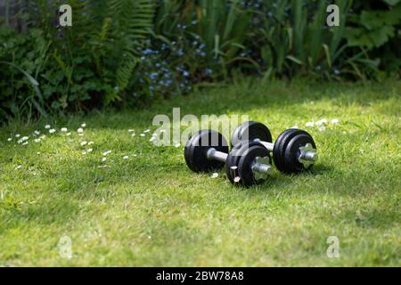 Una serie di pesi a manubri in una palestra con giardino naturale durante il blocco. Foto Stock