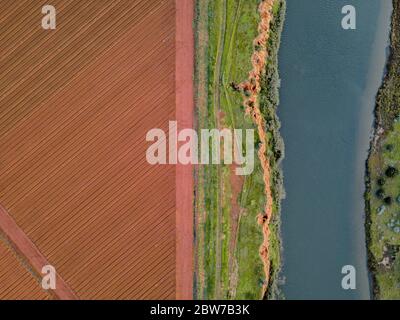 Fotografia aerea di Werribee Sud fertile fattoria campi e file di colture con il fiume Werribee Foto Stock