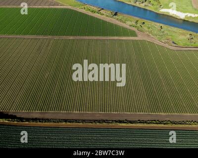 Fotografia aerea di Werribee Sud fertile fattoria campi Werribee fiume Foto Stock