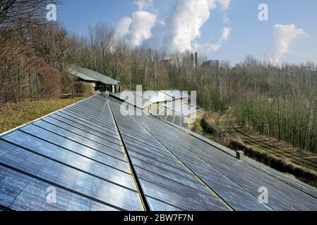 Un impianto solare elettrico da 360 kW presso il lago di Neurath, costruito per RWE Energie AG. L'elettricità è generata da celle fotovoltaiche. Foto Stock