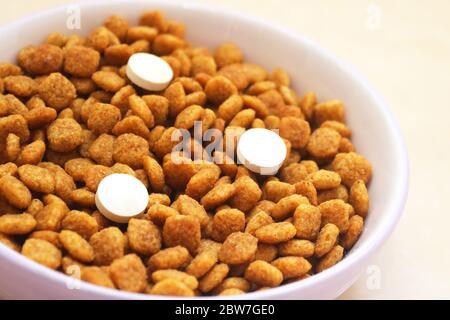 Cibo di gatto con tre pillole in una ciotola sul pavimento. Vitamine per i gatti. Trattamento Cat Foto Stock