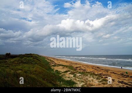 Splendida riserva del fiume Guana di North Beach sulla costa orientale, Florida state, USA Foto Stock