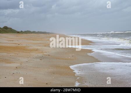 Splendida riserva del fiume Guana di North Beach sulla costa orientale, Florida state, USA Foto Stock