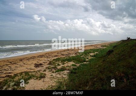 Splendida riserva del fiume Guana di North Beach sulla costa orientale, Florida state, USA Foto Stock