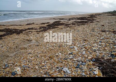 Splendida riserva del fiume Guana di North Beach sulla costa orientale, Florida state, USA Foto Stock