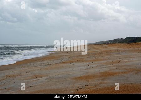 Splendida riserva del fiume Guana di North Beach sulla costa orientale, Florida state, USA Foto Stock