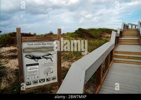 Stelle in legno che conducono alla splendida North Beach Guana River Preserve sulla costa orientale, Florida state, USA Foto Stock