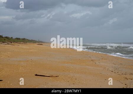 Splendida riserva del fiume Guana di North Beach sulla costa orientale, Florida state, USA Foto Stock