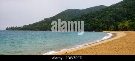 BASSE-TERRE/GUADALUPA - 08 GENNAIO 2019: Persone che prendono il sole nel tramonto sulla bellissima Grande-Anse Beach a basse-Terre sull'isola di Guadalupa Foto Stock