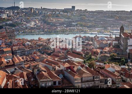 Una vista dalla Torre Clérigos, Porto, Portogallo Foto Stock