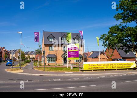 Ashberry Homes, Elizabeth Gardens a Rochford, Southend, Essex, Regno Unito. Nuove case in vendita. Mostra a casa con banner pubblicitari e segno. Conigliatura Foto Stock