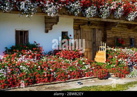 Tradizionale facciata woden casa con fiori colorati a Tirol, Austria Foto Stock