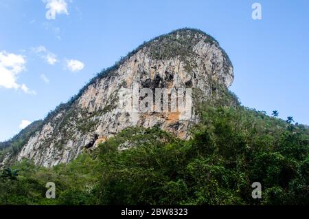 Vista di un'impressionante mogote nella Valle dei Vinales a Cuba Foto Stock