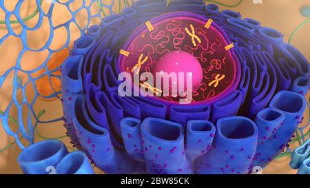 rendering 3d. cella di illustrazione 3d modell. Foto Stock