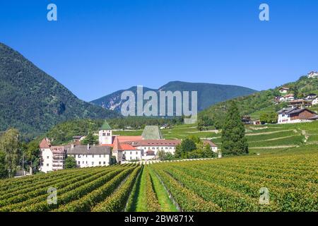 splendidi vigneti dell'abbazia di novacella, in italia, tirolo, antico monastero alpino, con il monastero sullo sfondo, chiesa, campanile, cel Foto Stock