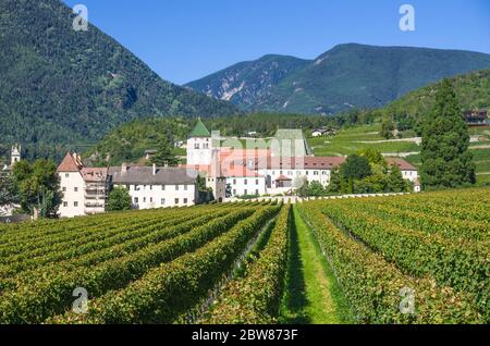 splendidi vigneti dell'abbazia di novacella, in italia, tirolo, antico monastero alpino, con il monastero sullo sfondo, chiesa, campanile, cel Foto Stock