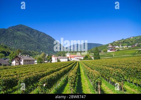 splendidi vigneti dell'abbazia di novacella, in italia, tirolo, antico monastero alpino, con il monastero sullo sfondo, chiesa, campanile, cel Foto Stock