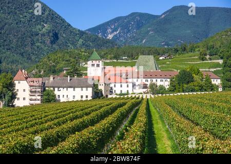 splendidi vigneti dell'abbazia di novacella, in italia, tirolo, antico monastero alpino, con il monastero sullo sfondo, chiesa, campanile, cel Foto Stock