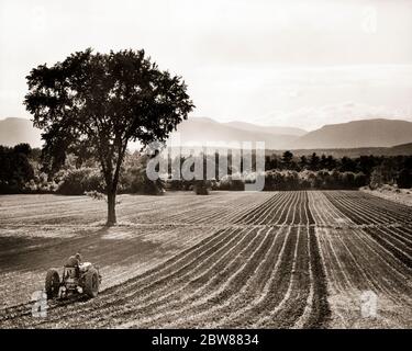 1950 INDIETRO VISTA SINGOLA AGRICOLTORE ANONIMO SU TRATTORE COLTIVANDO TERRENO DI COLTIVAZIONE TRA FILE DI GERMOGLIAZIONE VICINO CATSKILL NY USA - F4953 HEL001 HARS ISPIRAZIONE STATI UNITI D'AMERICA CURA AGRICOLTURA MASCHI PROFESSIONE SIMBOLI NY TRASPORTO SUOLO AGRICOLTURA B&W AMERICA DEL NORD LIBERTÀ NORD AMERICA ABILITÀ SOGNI OCCUPAZIONE ABILITÀ CAPACITÀ ANGOLO ALTO MACCHINARI CARRIERA AGRICOLTORI MACCHINARI PRIDE NEW YORK STATE VICINO OCCUPAZIONI RIGHE CONCETTO PULITO CONCETTUALE NEW YORK TRATTORI AGRICOLI ANONIMI SIMBOLICI COLTIVAZIONE CATSKILL CONCETTI RACCOLTO MEDIO-ADULTO UOMO MEDIO-ADULTO GERMOGLIANDO BIANCO E NERO COLTIVAZIONE Foto Stock