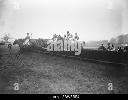 Grande incontro militare a Sandown Park alcuni dei campi che prendono uno dei salti nella Grand Military Gold Cup vinta da Ruddyglow il favorito 20 marzo 1925 Foto Stock