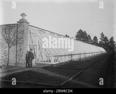 Una fattoria australiana in Inghilterra : ideale per l'addestramento di Empire Land a Lynford Hall , Norfolk . Le serre . 30 gennaio 1926 Foto Stock