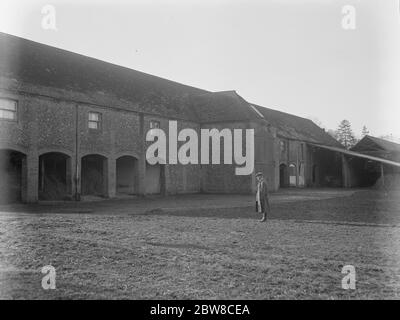 Una fattoria australiana in Inghilterra : ideale per l'addestramento di Empire Land a Lynford Hall , Norfolk . 30 gennaio 1926 Foto Stock