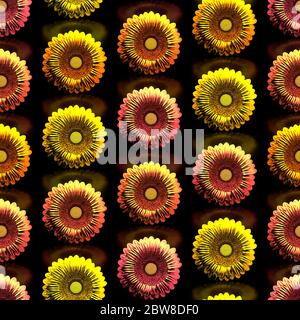 Motivo di girasoli metallizzati e colorati su sfondo nero lucido Foto Stock