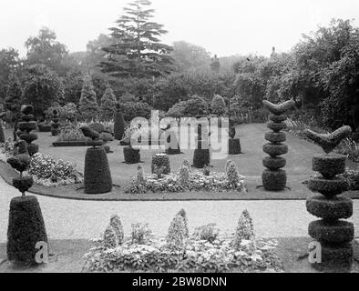 Il Re e la Regina vanno a Sandringham, Norfolk . Il pittoresco lavoro topiario nei giardini di Sandringham . 22 agosto 1929 Foto Stock