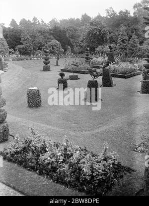 Il Re e la Regina vanno a Sandringham, Norfolk . Il pittoresco lavoro topiario nei giardini di Sandringham . 22 agosto 1929 Foto Stock