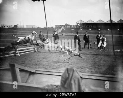 Preparazione per l'apertura della nuova pista di corse di levrieri ad Harringay . Prendere gli ostacoli durante le prove . 23 agosto 1927 Foto Stock