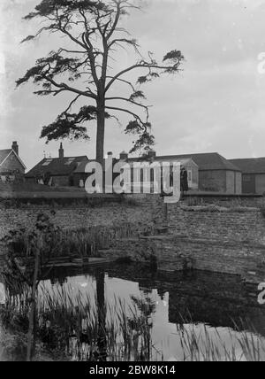 Scadbury azioni , Bromley , Kent . 1935 . Foto Stock
