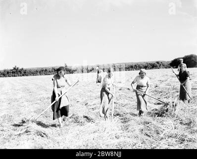 Lavoratori agricoli a Farningham facendo fieno . 1935 Foto Stock