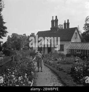 Cottage di 300 anni a Foots Cray . 1936 Foto Stock