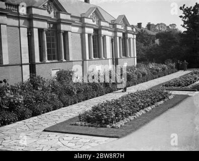 Dahlia letti a Dartford Central Park . 1936 Foto Stock