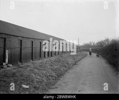 Capanne per raccoglitori di luppolo a Swanley , Kent . 1939. Foto Stock