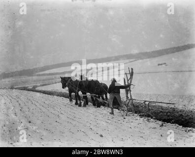 Aratura in neve su un campo a Sevenoaks , Kent . 1937 Foto Stock