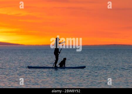 30 maggio 2020. Tywyn, Galles, Regno Unito. Una levata in piedi su sul boarder della pagaia con il suo cane al tramonto sulla Costa gallese. Foto di credito: ©Jon Freeman Foto Stock