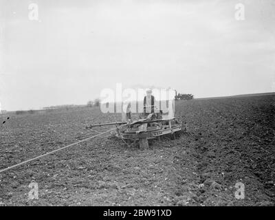 Coltivazione di trattori a vapore a Farningham , Kent . 1938 Foto Stock