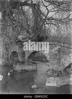 Un albero che cresce dalla base del ponte di Farningham nel Kent . 1939 Foto Stock