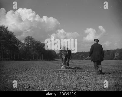 Lavoratore agricolo che inzappa un campo con il suo cavallo a North Cray , Kent . 1939 . Foto Stock