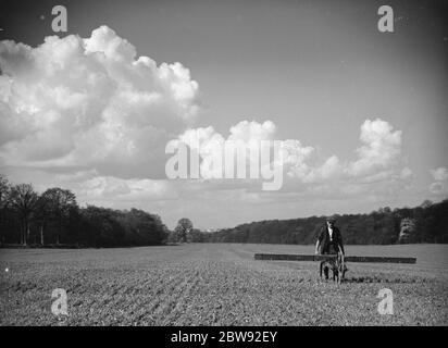 Un coltivatore che boadcasting trifogli su un campo in North Cray , Kent . 1939 Foto Stock