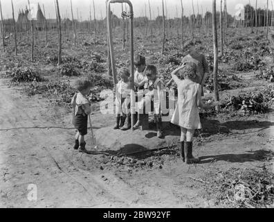 I bambini delle donne che si battono per il luppolo a Beltring , Kent , che giocano nei campi del luppolo . 1939 . Foto Stock