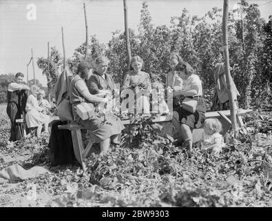 Donne luppolo pickers a Beltring , Kent . Ogni lavoratore ha una maschera a gas sopra la spalla in scatola in caso di attacco di gas . 1939 . Foto Stock