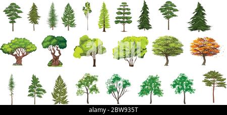 Insieme di diversi progetti realistici ad albero - illustrazione vettoriale modificabile Illustrazione Vettoriale